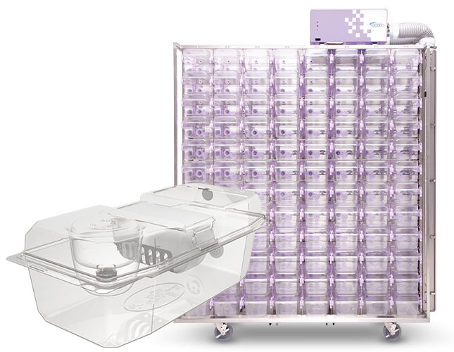 disposable rat cages