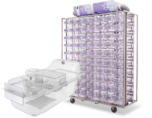 disposable rat cages